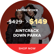 Understanding the Dynamic